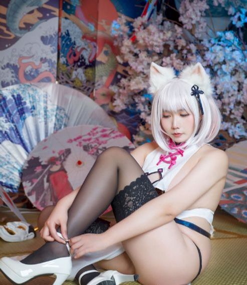 美女的裙底免费观看