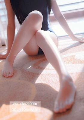 秘密森林韩剧电视剧全集免费播放