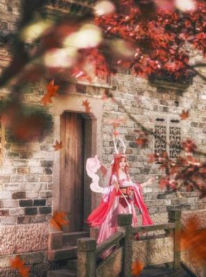 驯服在线